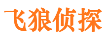 东洲外遇调查取证